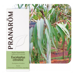 PRANAROM,EUKALIPTUS LIMUNSKI ETERIČNO ULJE (EUCALYPTUS CITRIODORA)